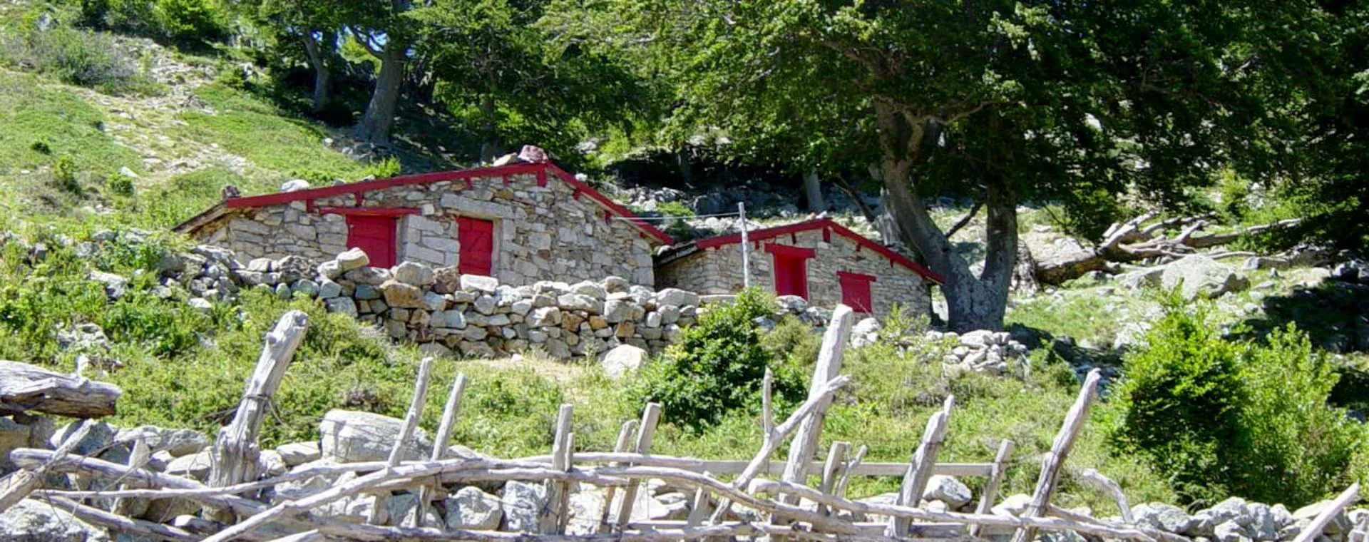 Cabane de pêcheur - Estuaire de la Gironde - France
