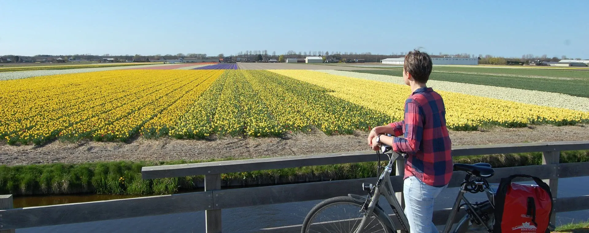 Champs de fleurs - Hollande - Pays-Bas - flower-fields-holland-netherlands-3