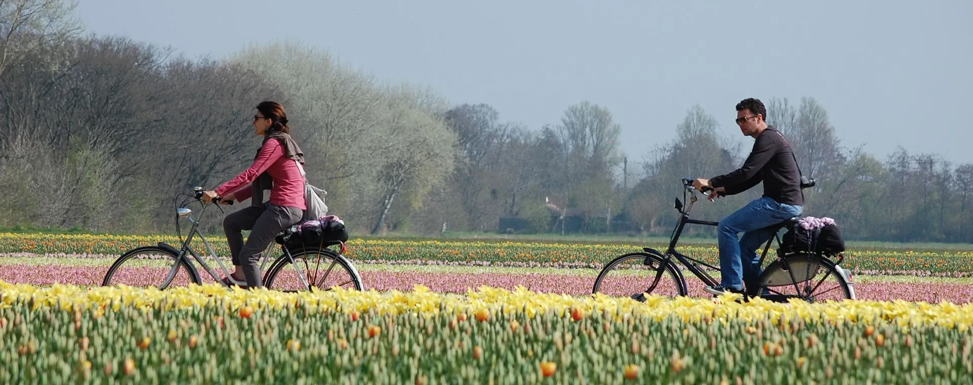 Champs de fleurs - Hollande - Pays-Bas - flower-fields-holland-netherlands-4