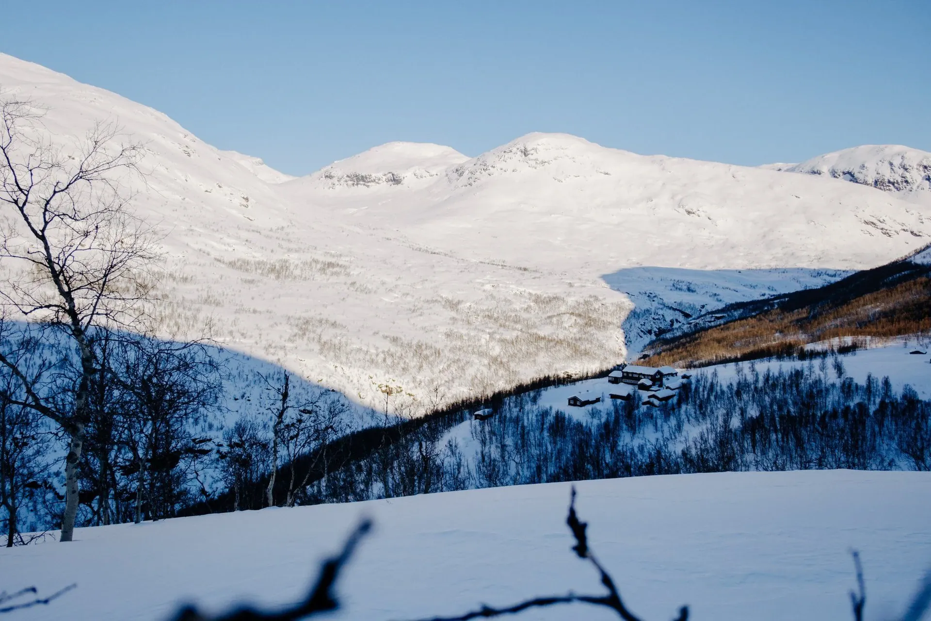 Jardin fleuri dans le Cezallier - Massif Central - France