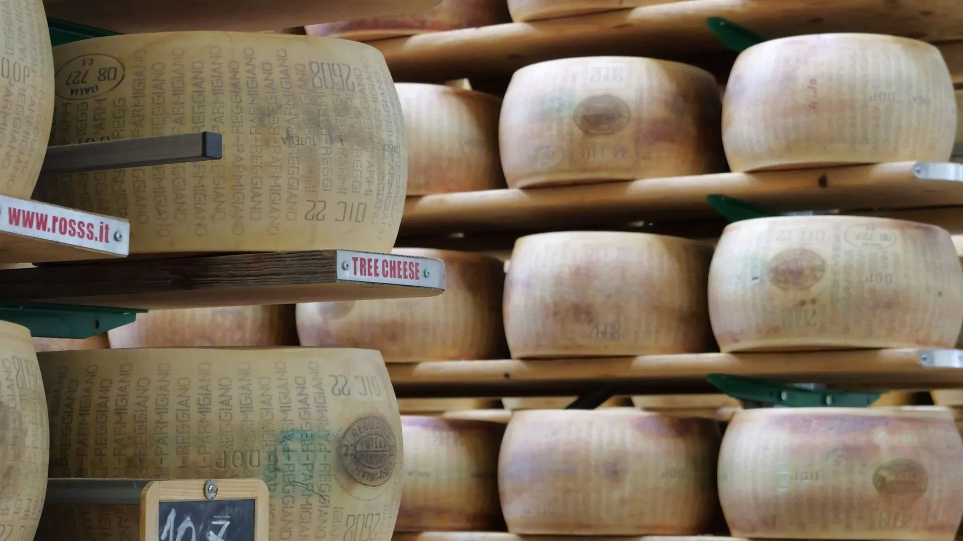 Printemps fleuri et sommets enneigés - Tyrol - Autriche