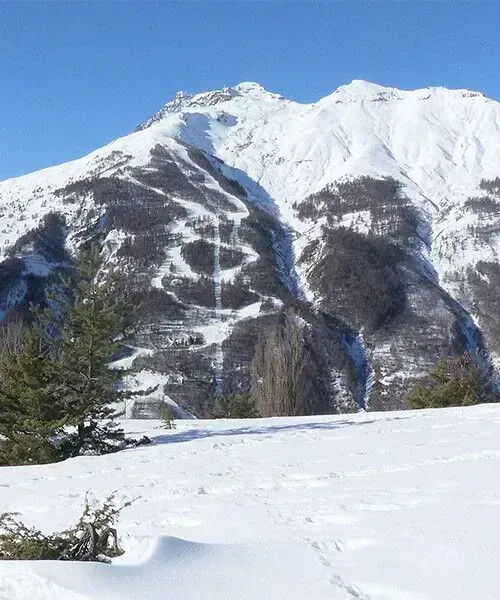 Prairie fleurie et montagnes du Vercors - France