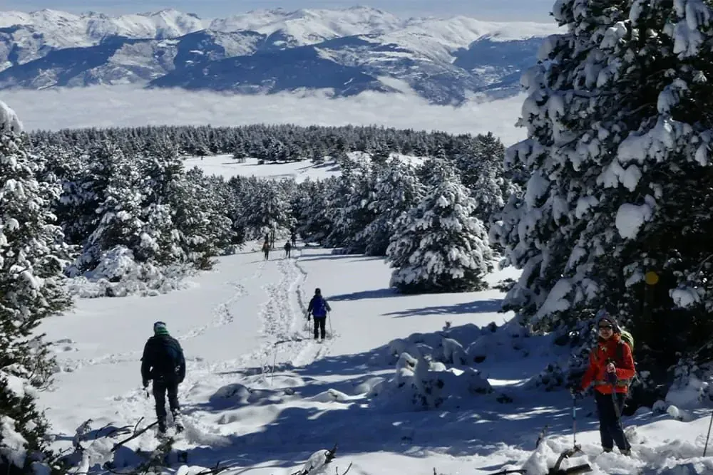 Forêt et montagnes en hiver - Pyrénées-Orientales - France © Michel Madre