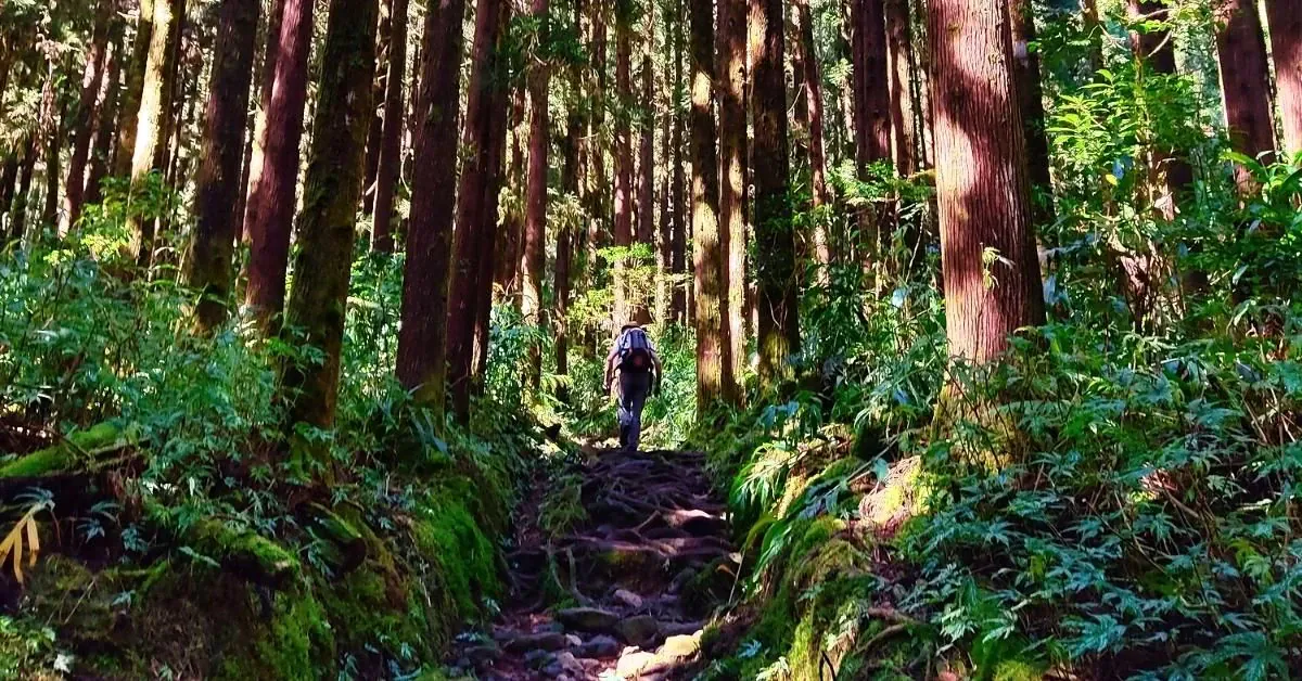 La Traversée de la Réunion à pied d’Est en Ouest | Grand Angle