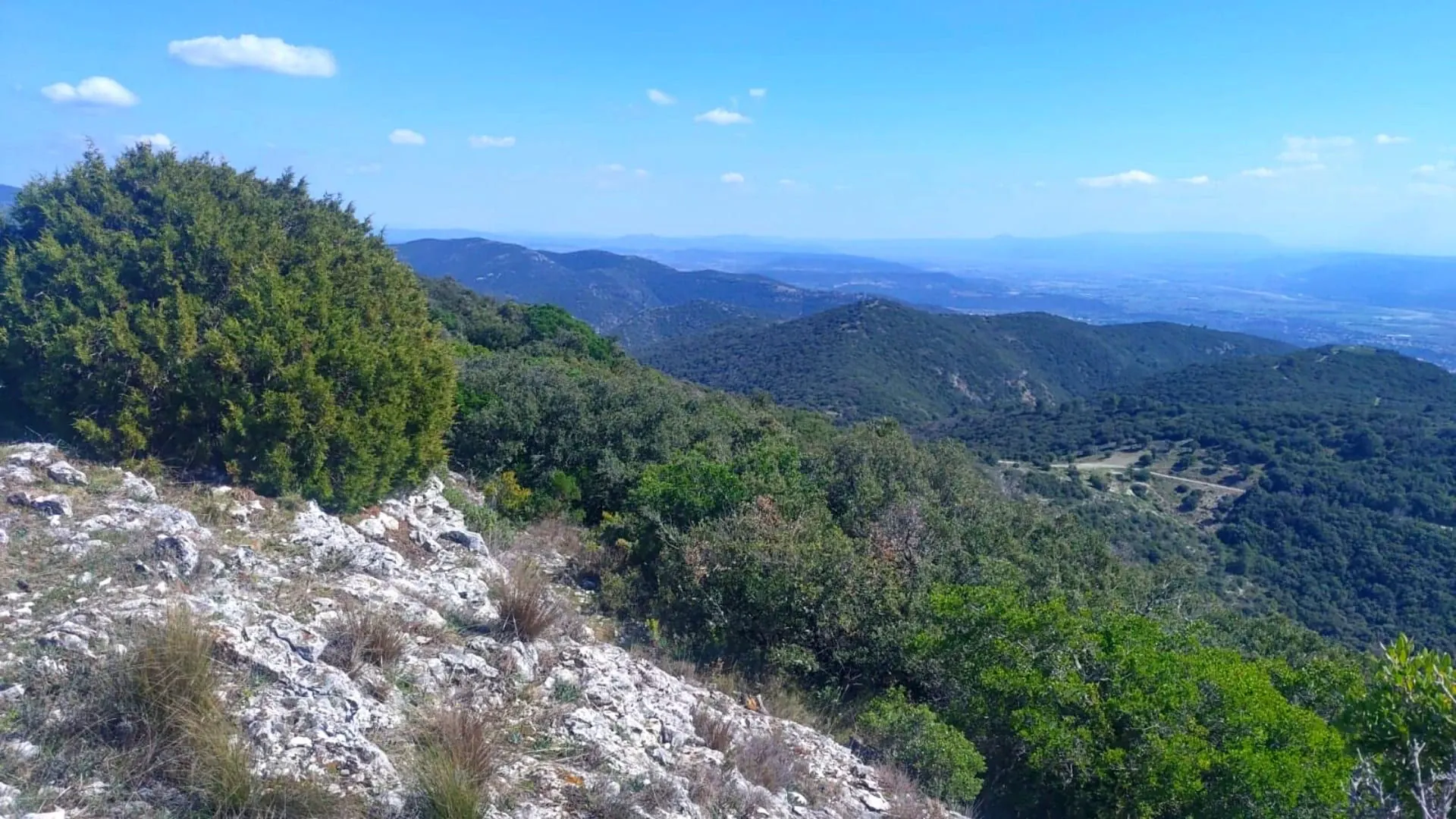 Foret Des Cedre Bonnieux C Oriane Tempe - France