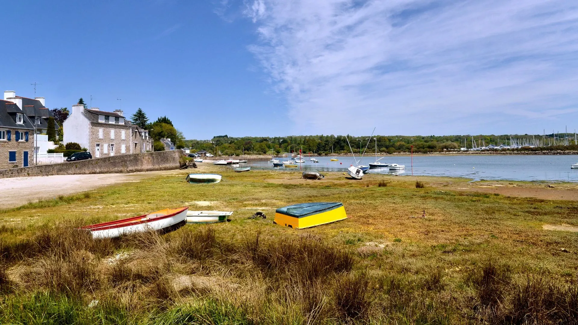 Foret Fouesnant Christian Muscat Adobestock - France