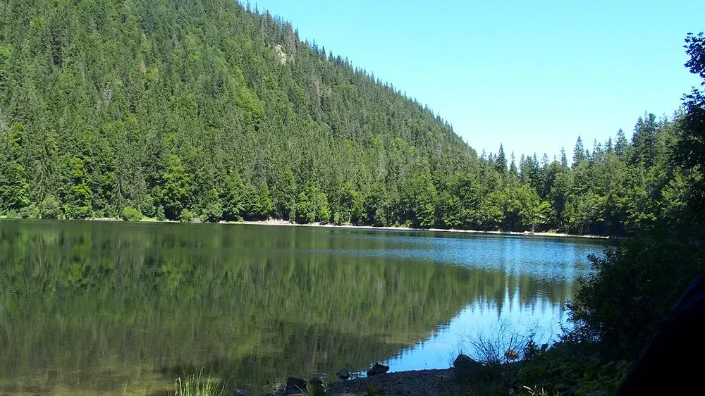 Foret Noire 2 - Allemagne