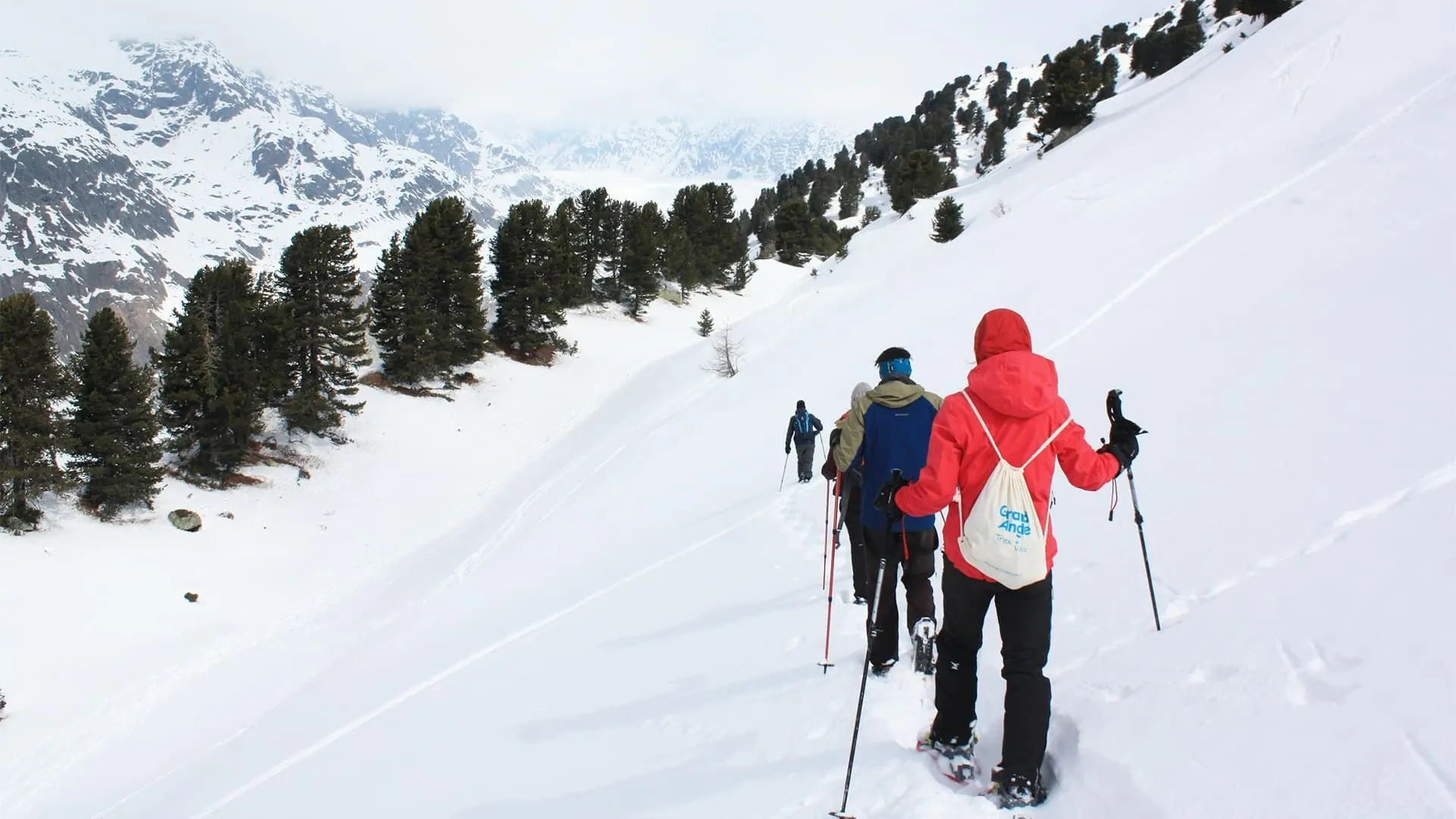 Balade en forêt près du glacier d'Aletsch - Suisse