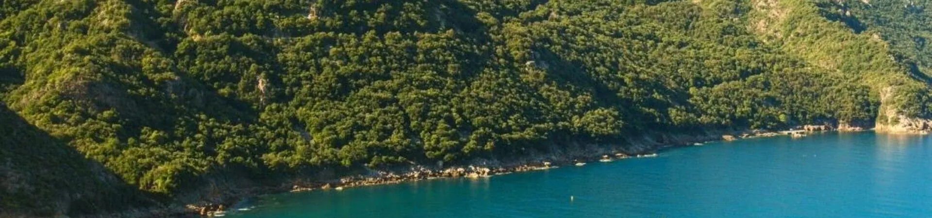 Cote sauvage boisee et eau turquoise - Corse - France