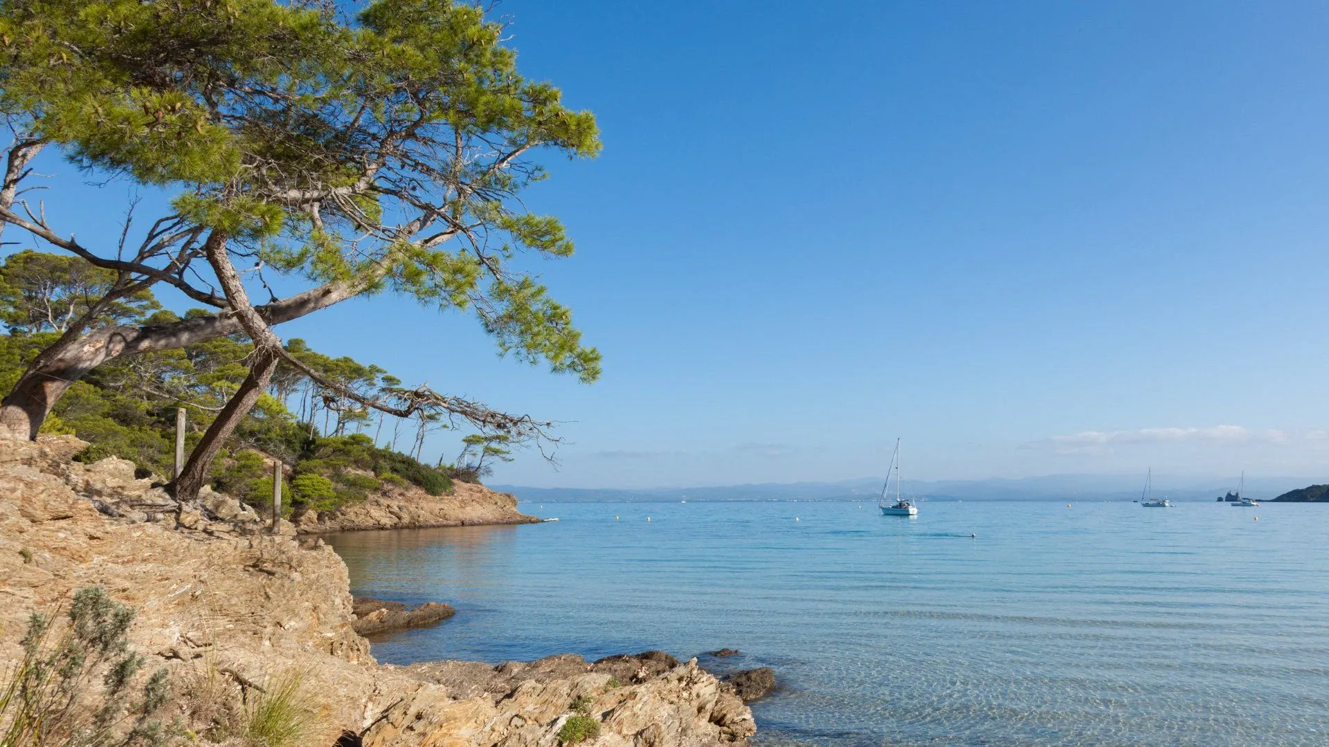 Fragp0056 Ile De Porquerolles (2) - France
