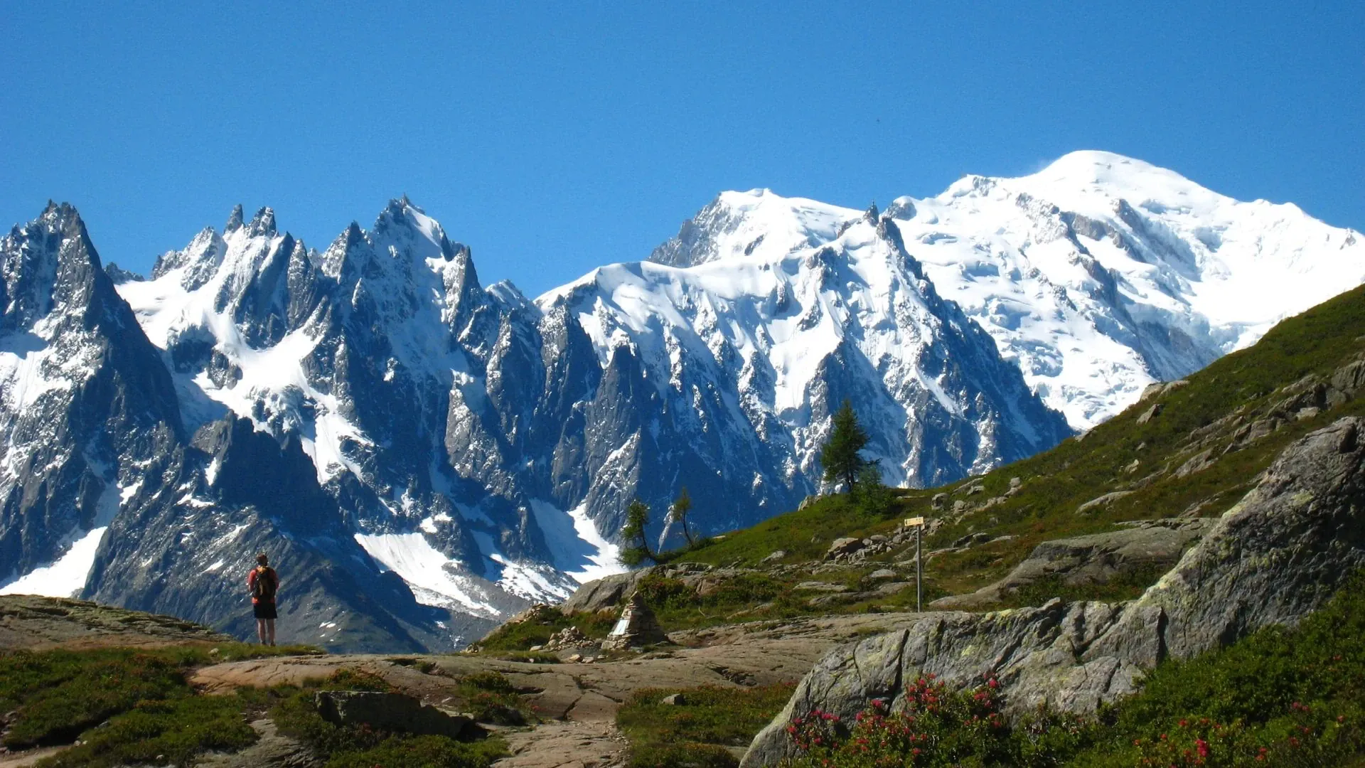 Fralp0020 Tmb Liberté 7 Jours Balcon Des Aiguilles Rouges - France