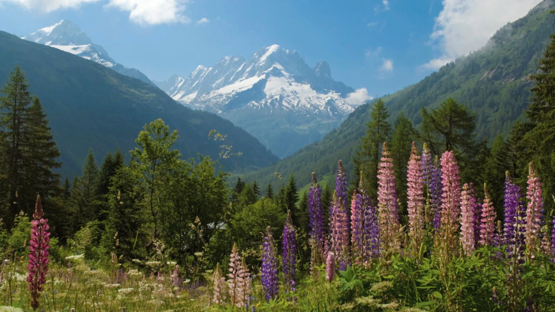 fralp1020-tmb-self-guided-7-days-2