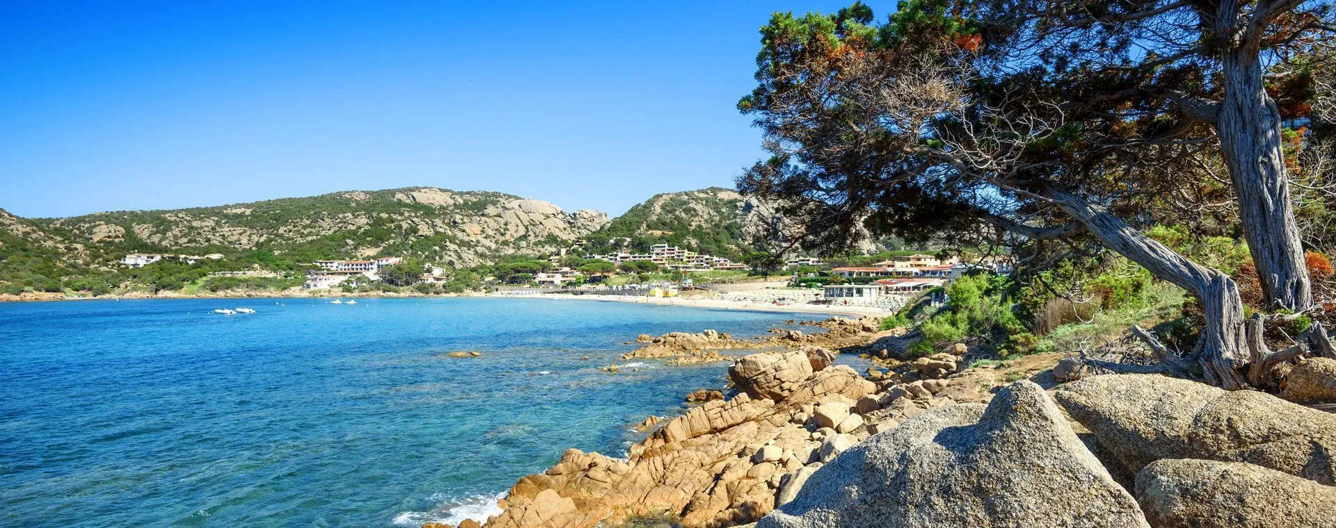 Bain de neige fraîche - Vercors - France