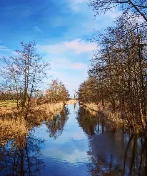 Branche d'arbre givrée - Chartreuse - France