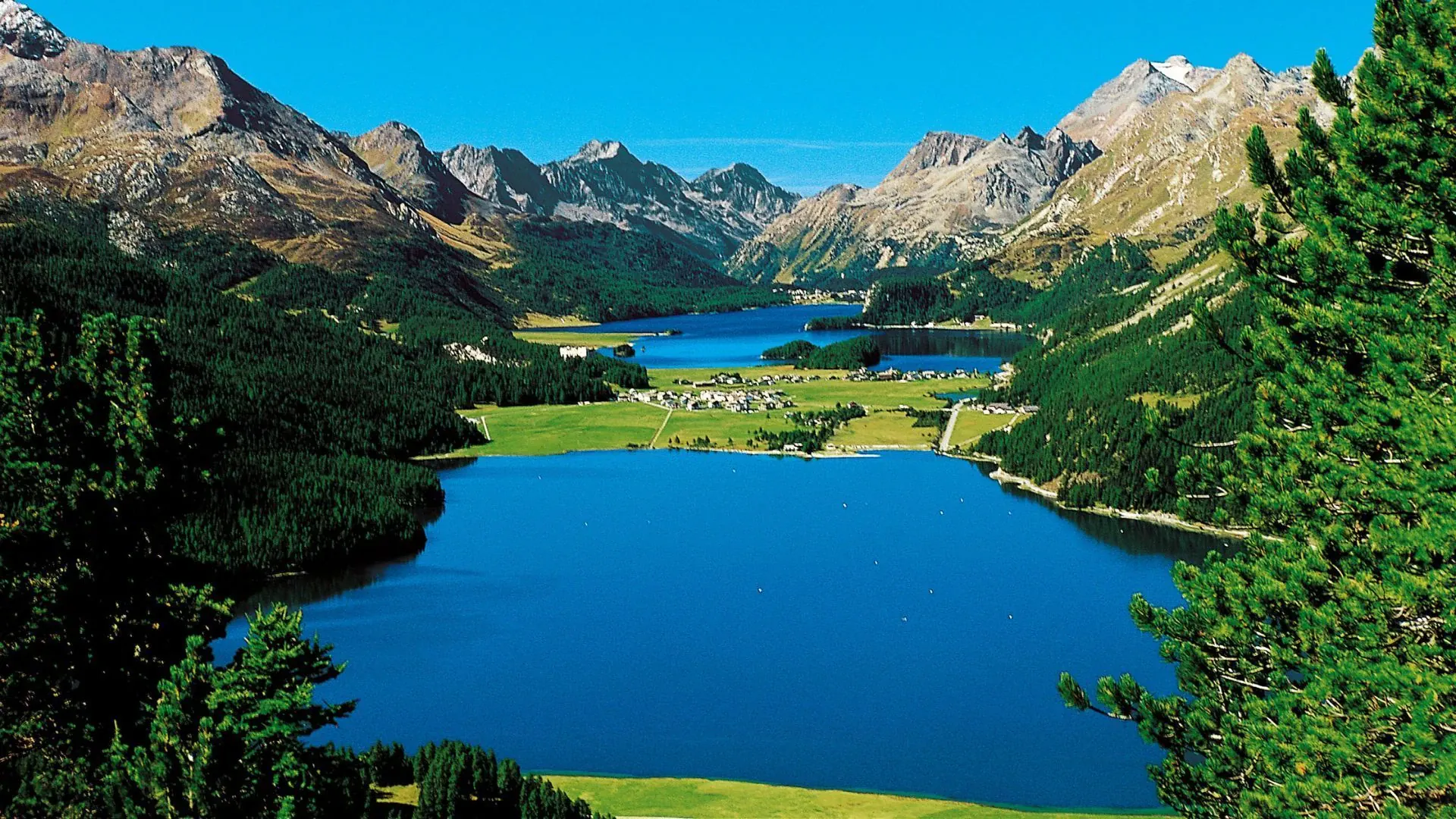 Silhouettes d arbres gelés dans la taïga - Laponie - Finlande