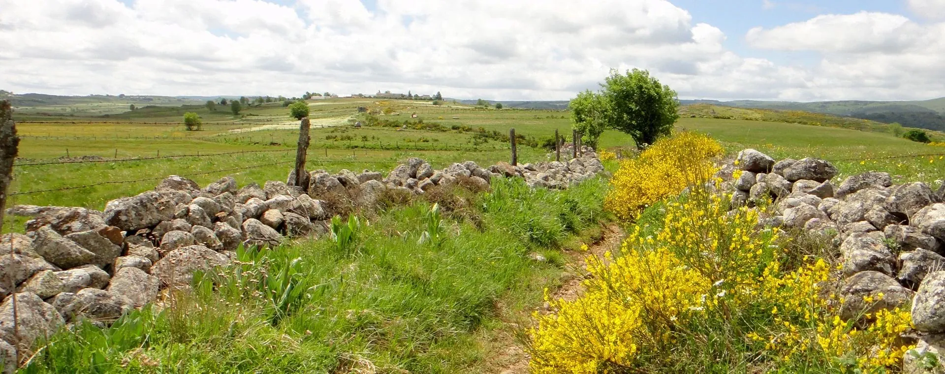Vallée de Gaube en hiver - Pyrénées - France