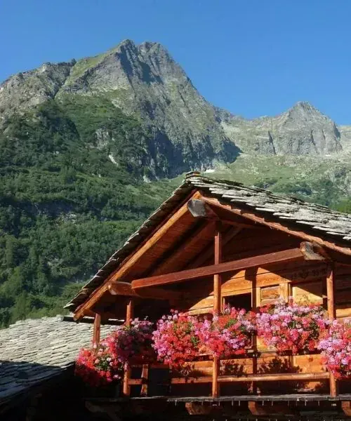 Gite fleuri dans le Grand Paradis ©Raymond Chabanier