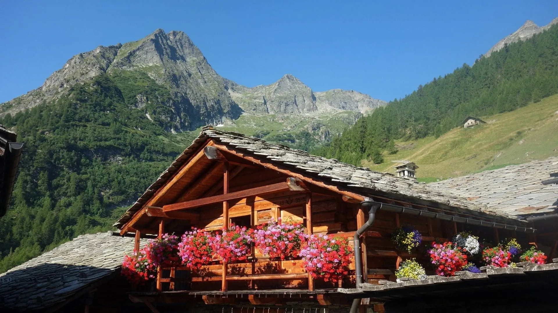 Gite Fleuri Dans Le Grand Paradis Raymond Chabanier 6 - Italie