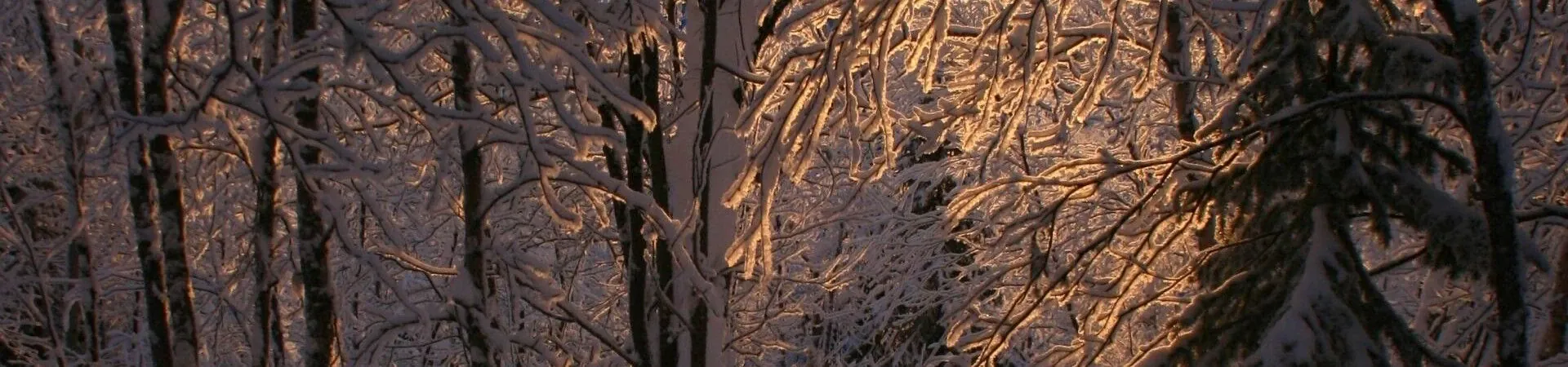 Les 3 plus beaux voyages raquette en Laponie - Grand Angle