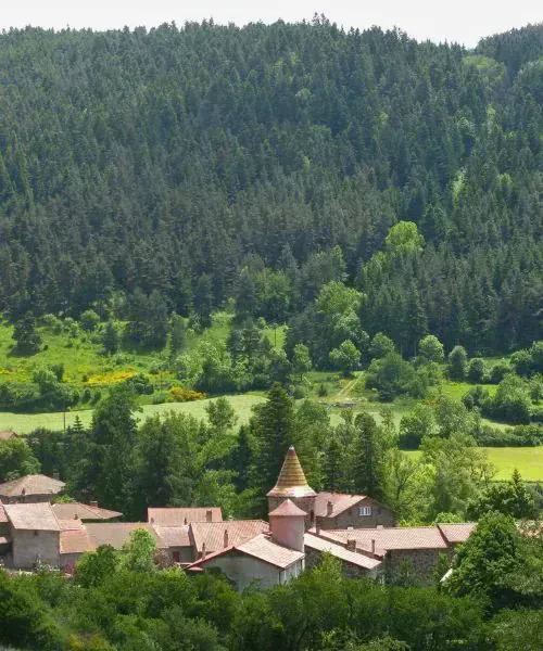 Village de Goudet - Haute-Loire - France