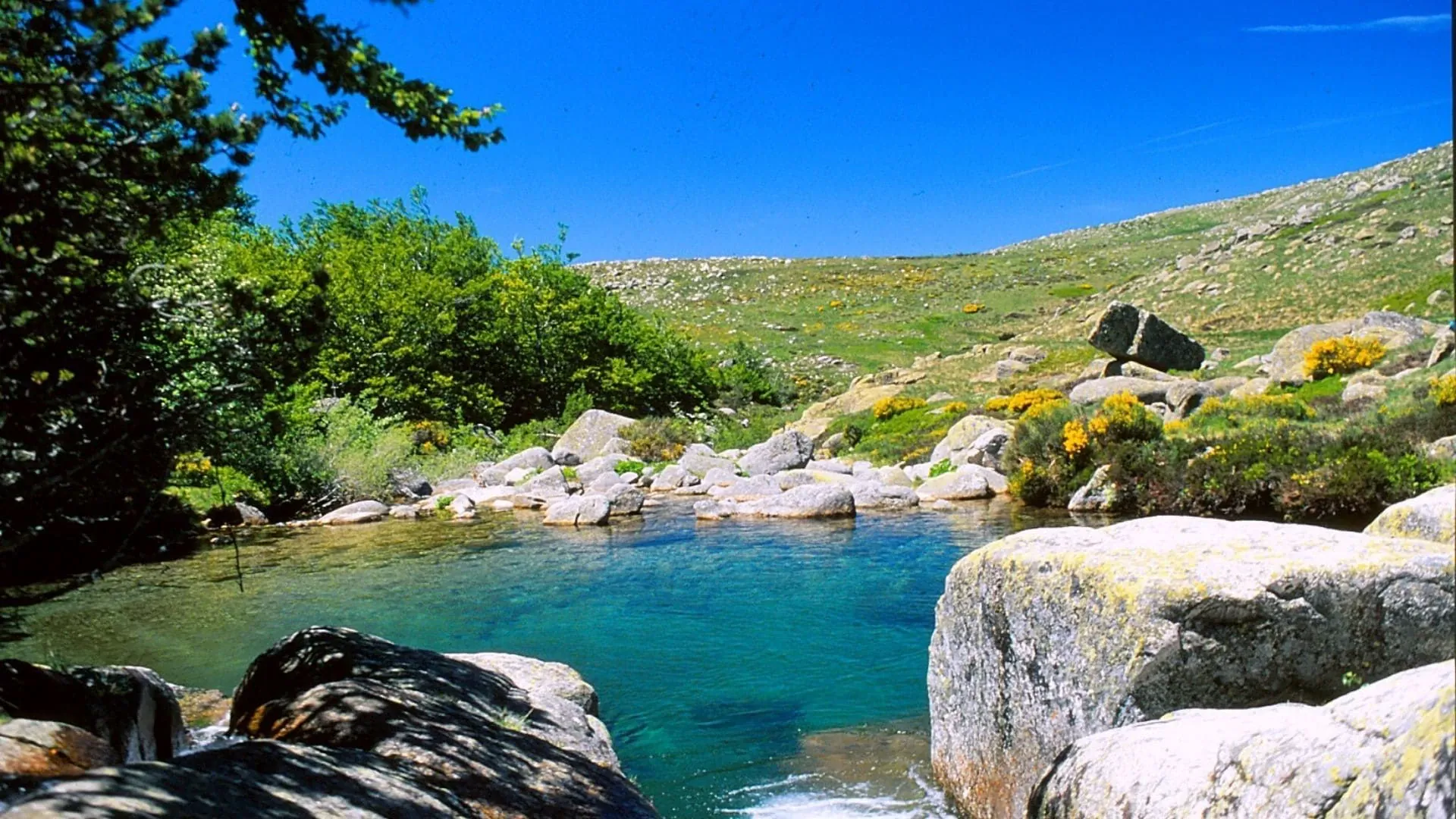 Gourg Sur Le Tarn - France