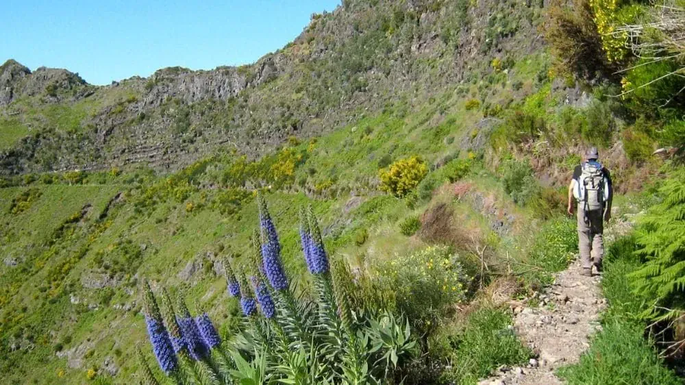 GR10 au col d'Occabe - Pyrénées basques - France