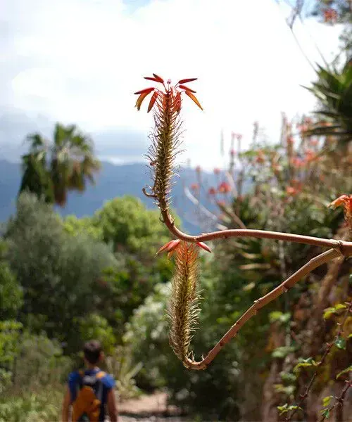 GR221-Serra Tramontana © Giovanna Crippa