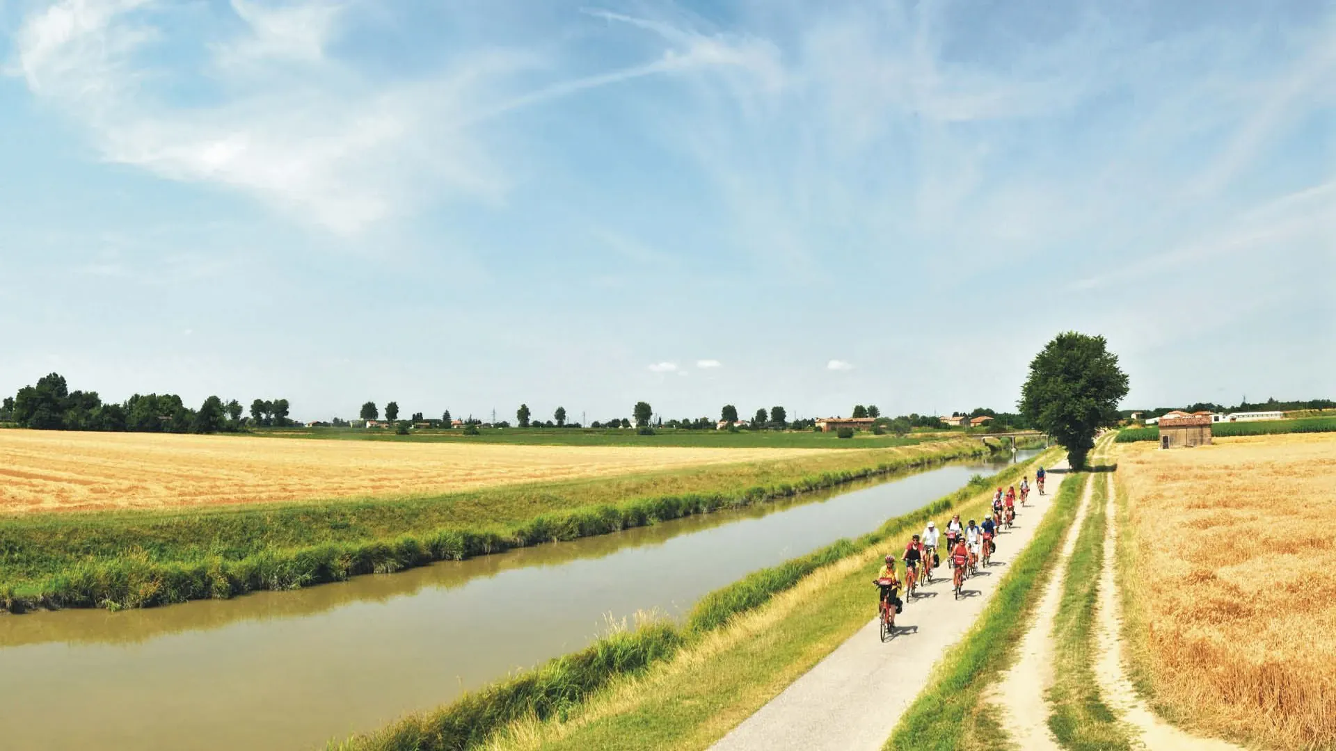 Cave d'affinage de fromage Grana Padano - Venetie - Italie