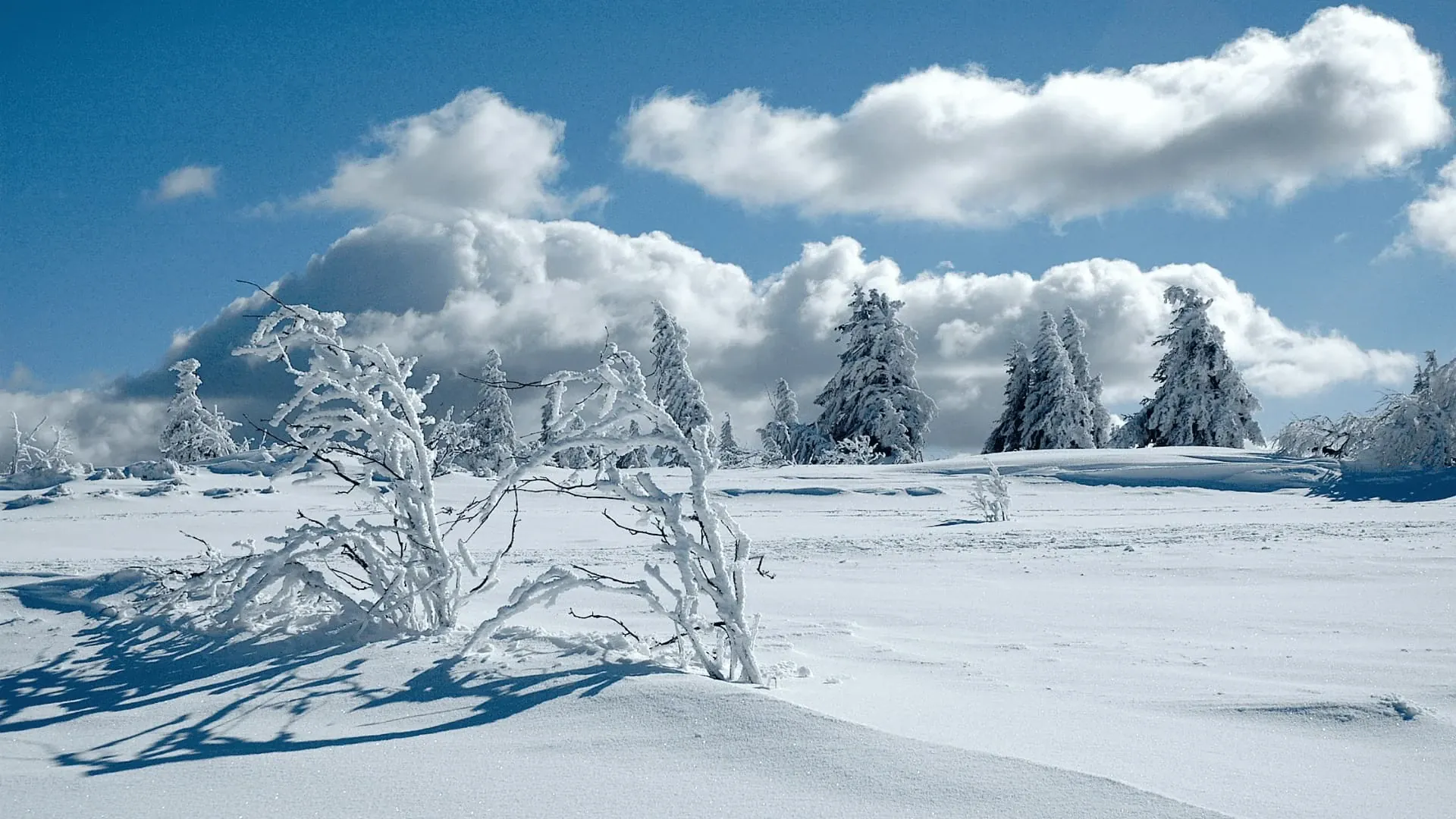 Balisage pour le Grand Raid & arrivée à la Mare à Boue © Yvonne Toussaint