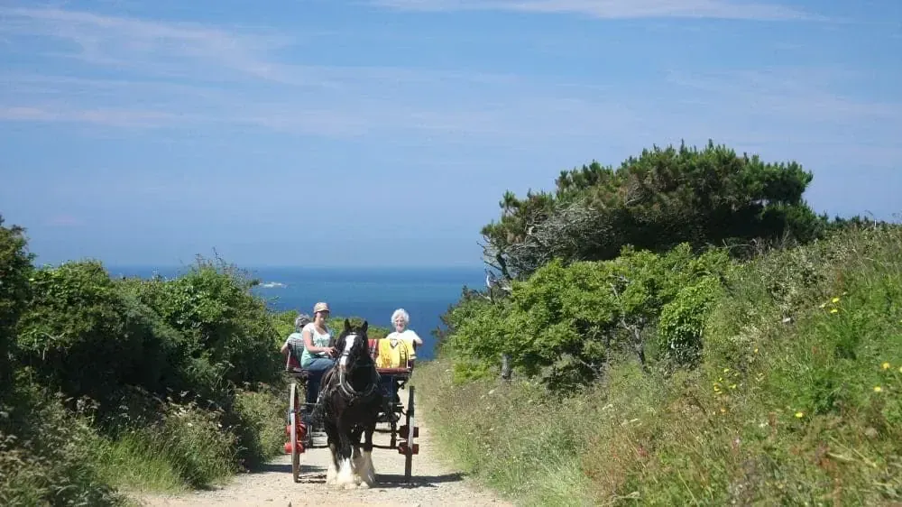 Grande Grève au pied de La Coupée - Sark - Îles Anglo-Normandes