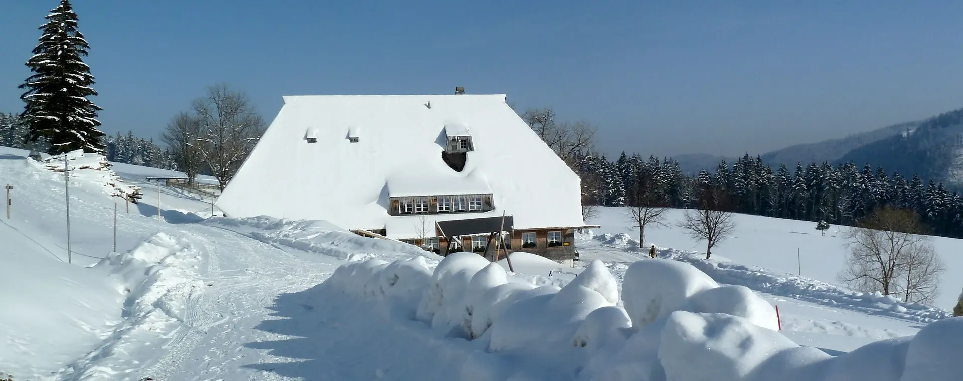 Grande Maison Typique Foret Noire - Allemagne