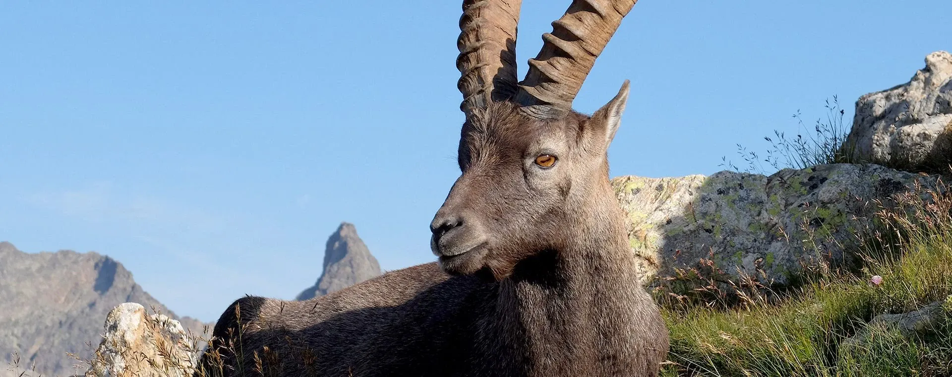 Grande Traversee Alpes Mercantour Mediterranee - Alpes - France - grande-traversee-alps-mercantour-mediterranee-alpes-france-3