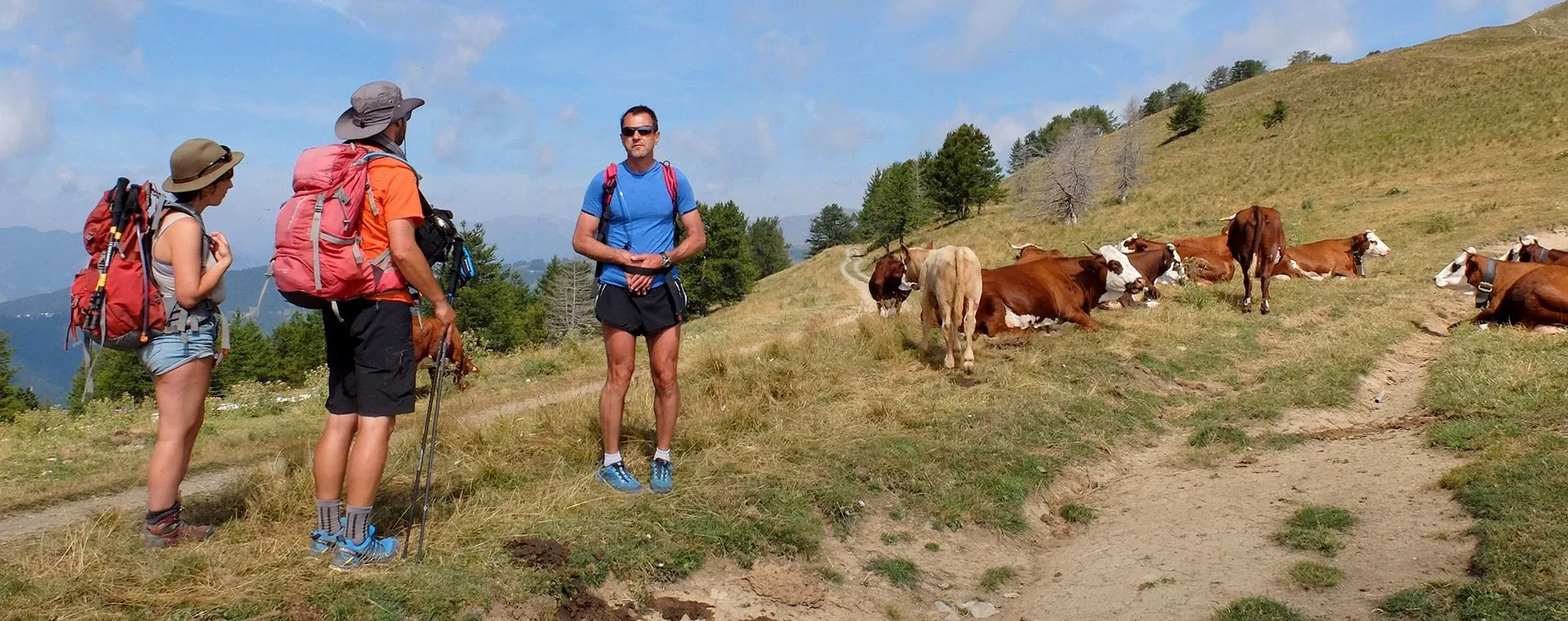 Grande Traversee Alpes Mercantour Mediterranee - Alpes - France