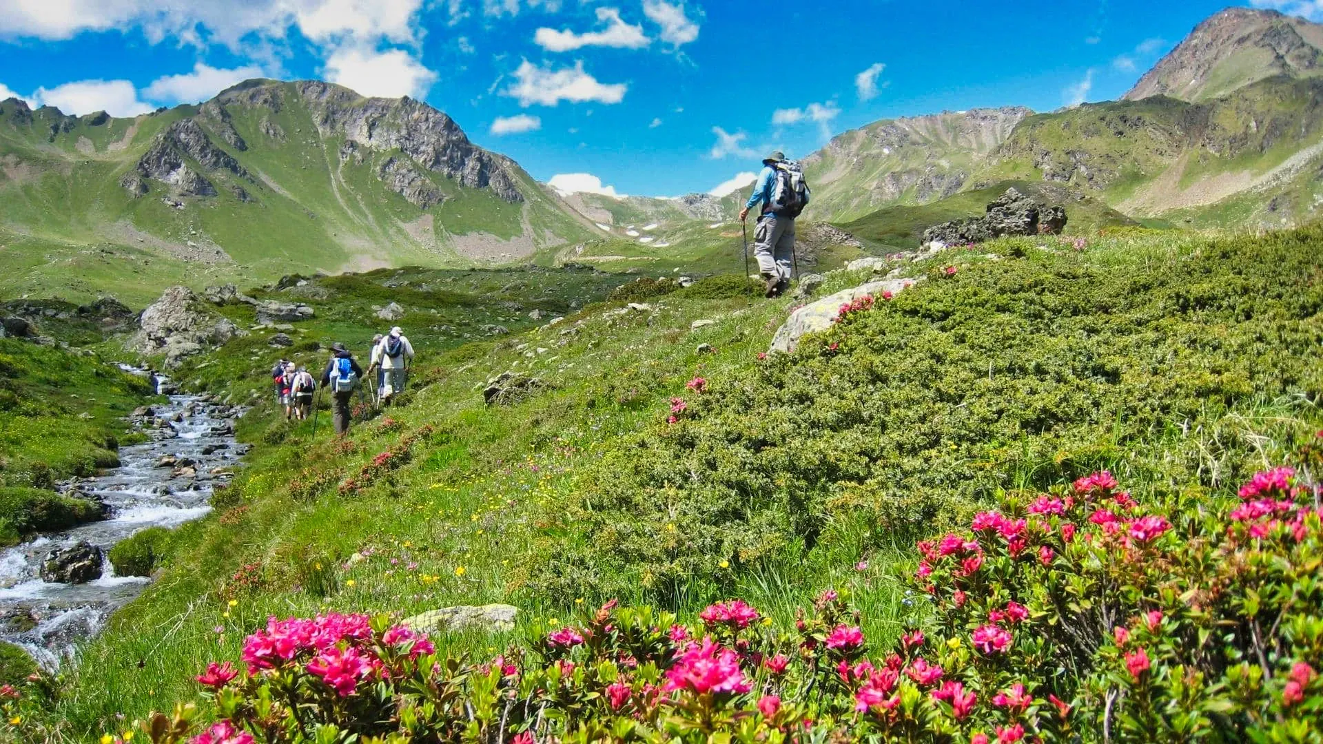 Grand Paradis En Fleurs C Francois Ribard - Italie © Francois Ribard
