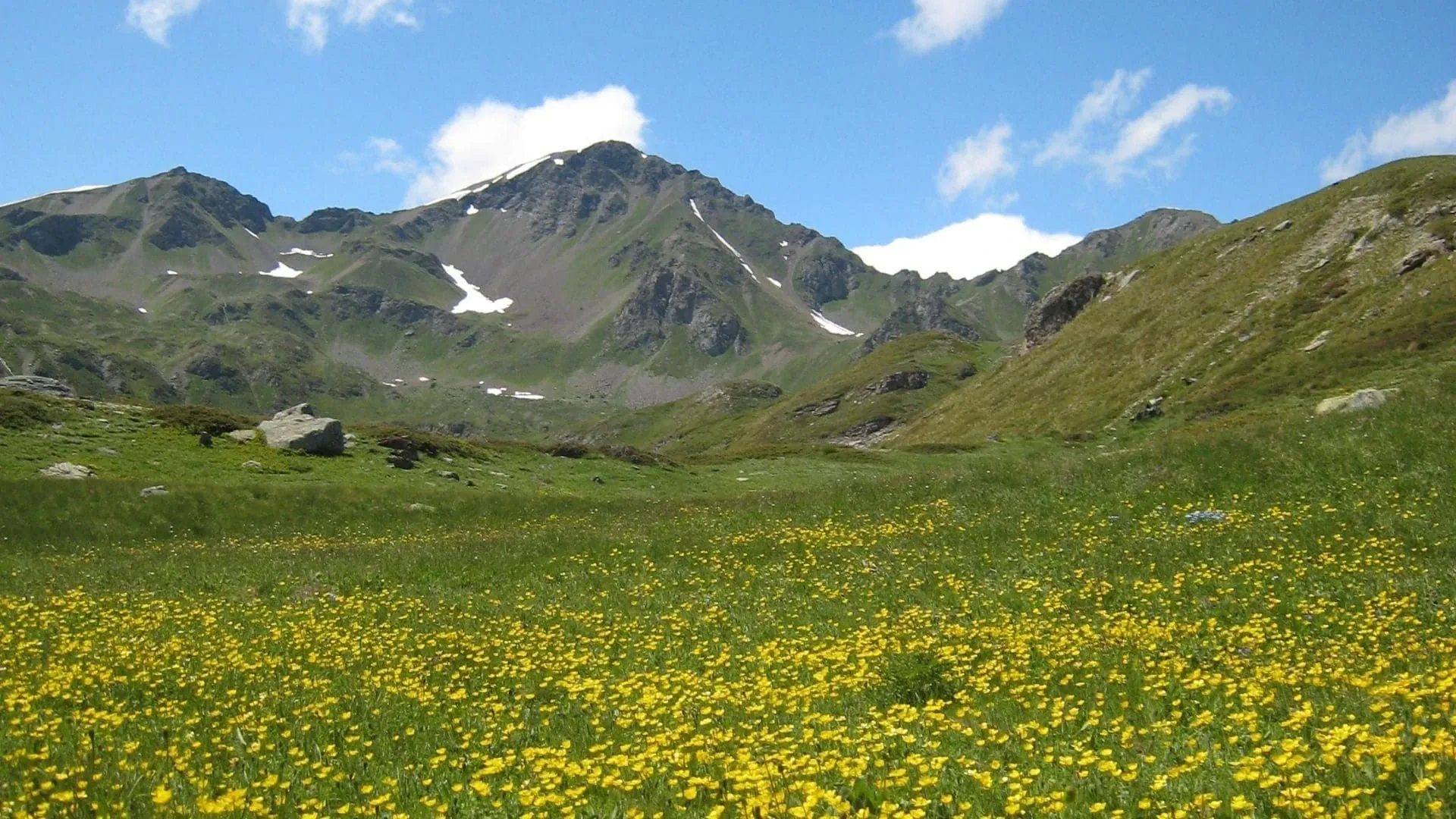 Grand Paradis Juin 2007 C Francois Ribard - Italie - great-paradis-juin-2007-c-francois-ribard-italy-4