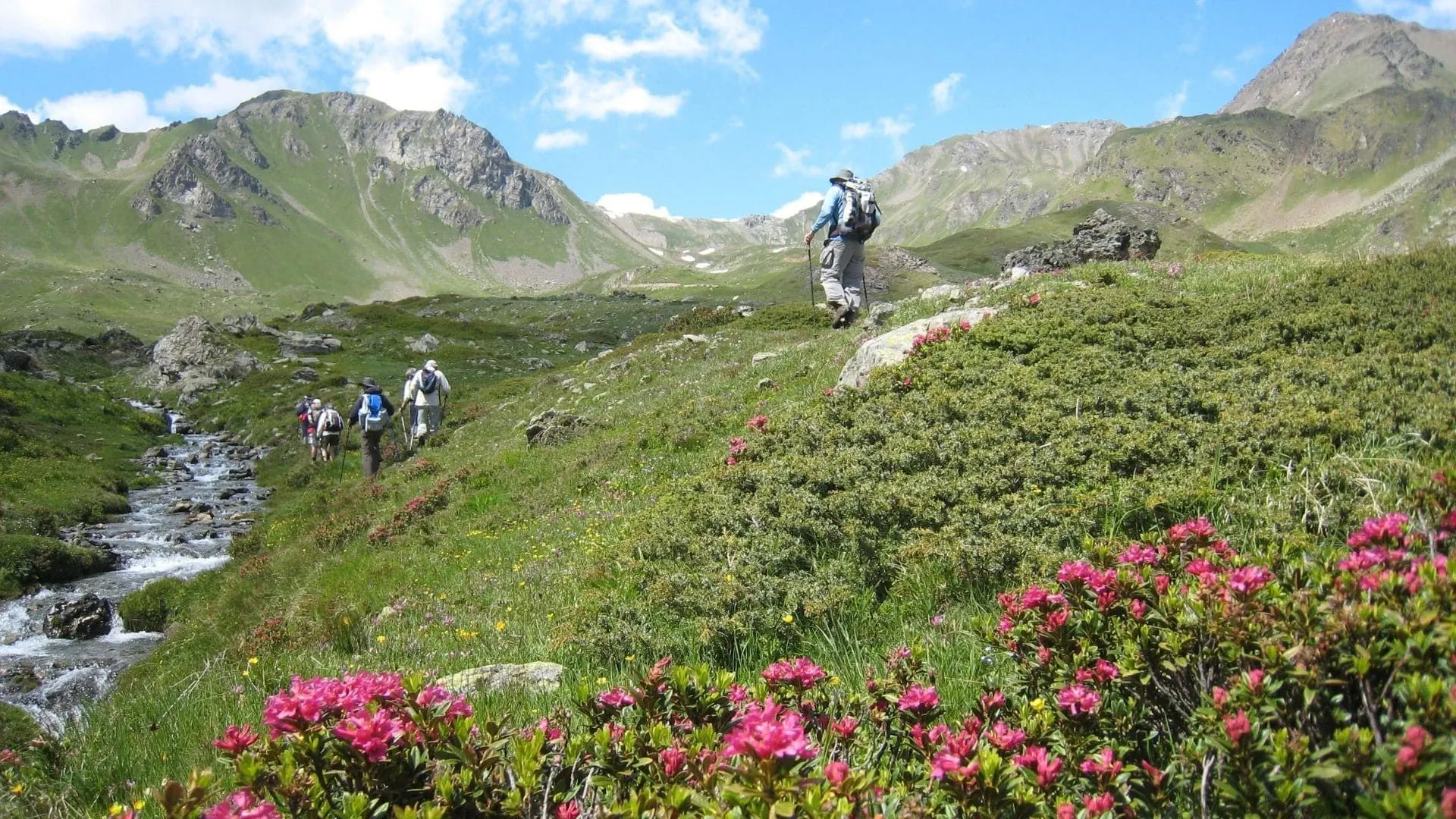 Grand Paradis Juin 2007 C Francois Ribard - Italie