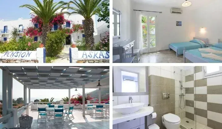 Pension grecque avec palmiers et terrasse vue mer - Amorgos Grece