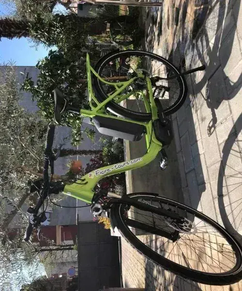 Velo electrique vert avec batterie - Jardins mediterraneens - Croatie