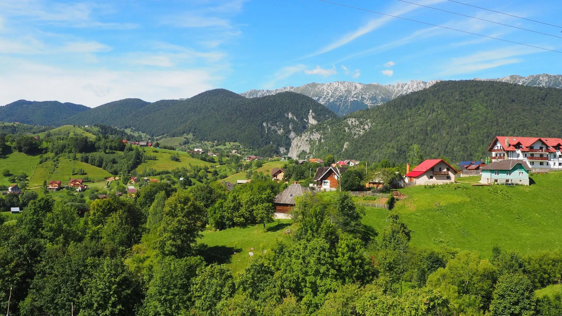 Collines verdoyantes du Peloponnese - Grece