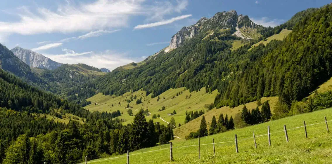 Paysage verdoyant autour de Walchsee - Tyrol - Autriche