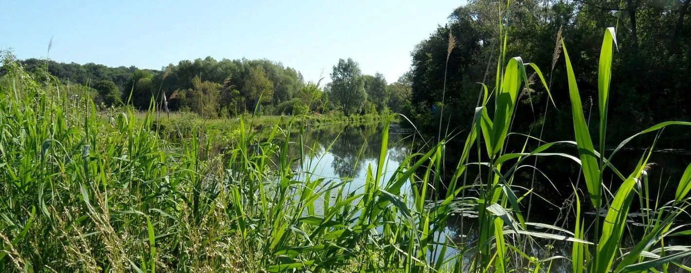 Paysage verdoyant de Galice - Espagne