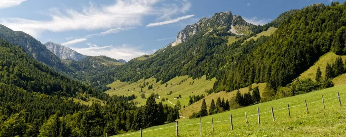Paysage verdoyant du Vercors - France