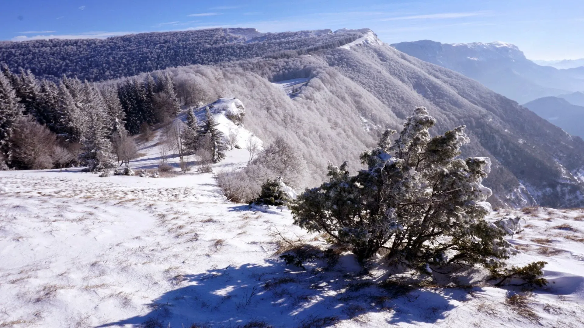 Groupe traversant plateau enneigé - Vercors - France