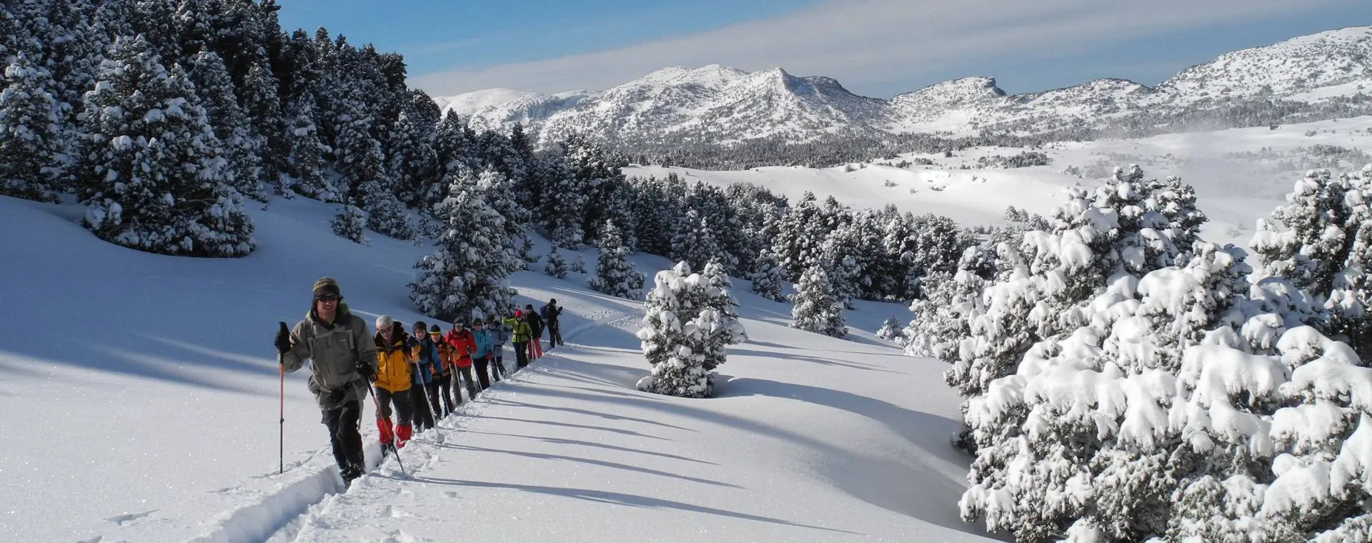 Groupe Randonneur Raquettes Vercors - Vercors - France