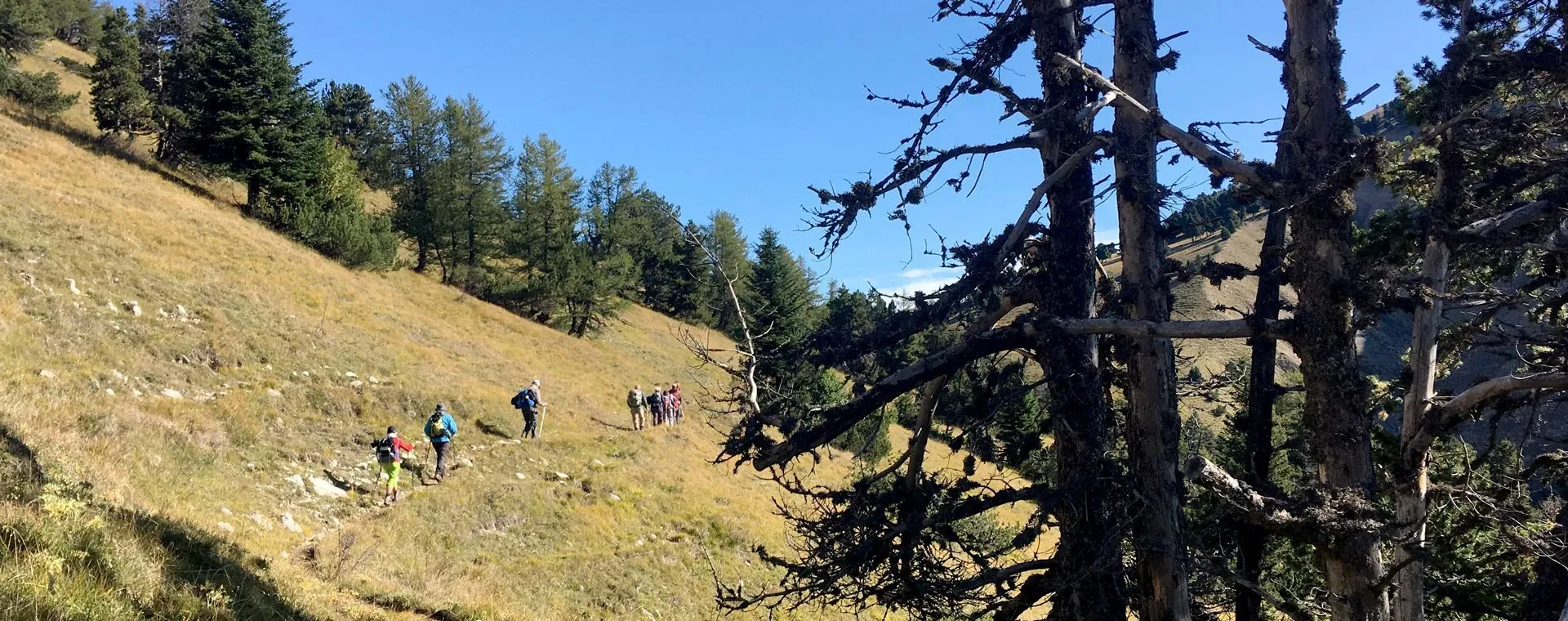 Groupe Randonneurs Devoluy - France