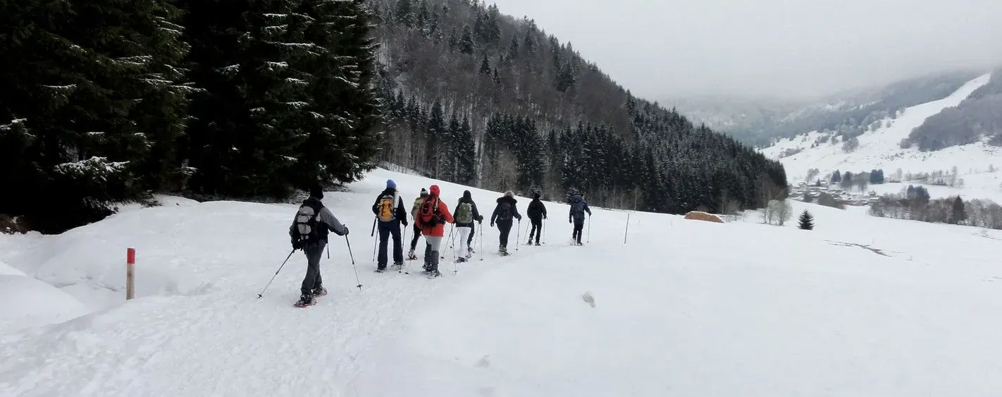 Groupe Randonneurs Foret Noire Min - Allemagne