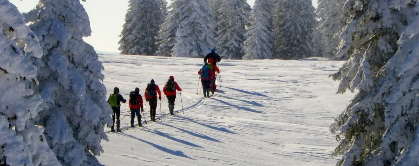 Groupe Randonneurs Ski Nordique Jura - France
