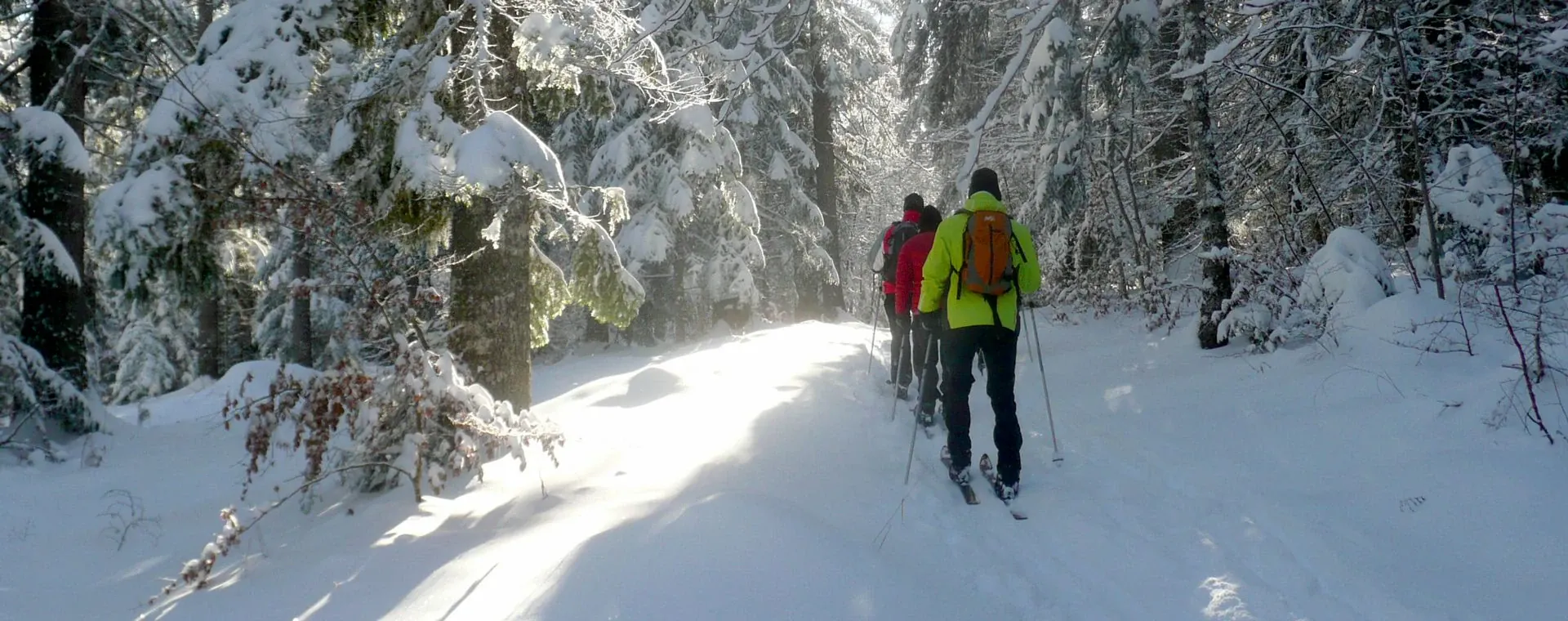 Groupe Randonneurs Ski Nordique Milieu Sapins Vercors - Vercors - France