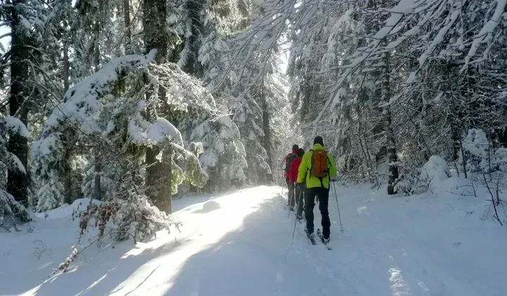 Groupe Randonneurs Ski Nordique Vercors - Vercors