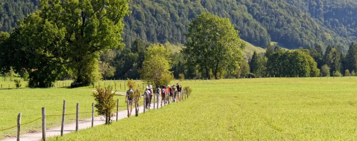 Groupe Randonneurs Tyrol Autour Walchsee - Autriche